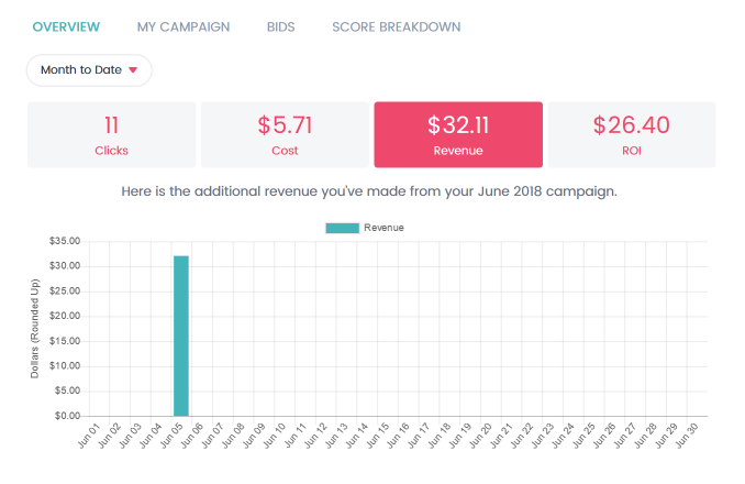 Overview_-_Revenue-crop.png